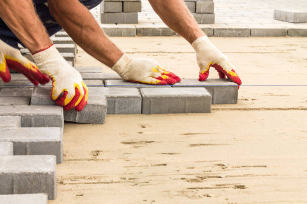 Best Professional Driveway Pavers  in Ferry Pass, FL
